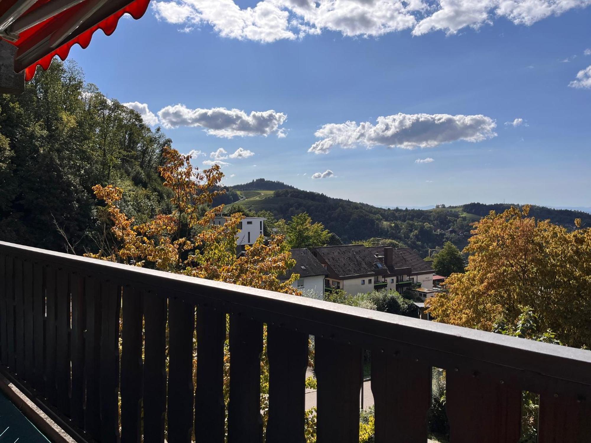 Gaishoellpark Sasbachwalden Dış mekan fotoğraf